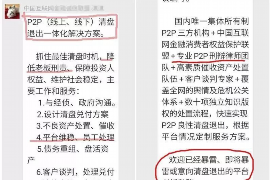 鹤壁为什么选择专业追讨公司来处理您的债务纠纷？